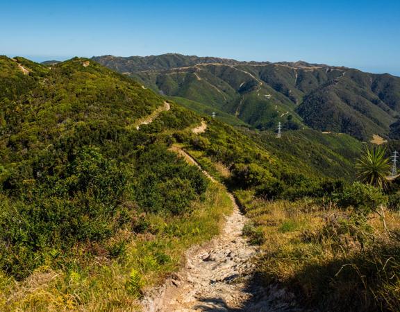 The Mid Peak Loop, a popular 8km intermediate route traversing eight different trails in the Mākara Peak Mountain Bike Park.