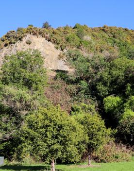 The green native bush of Belmont Regional Park, with streams and hills.