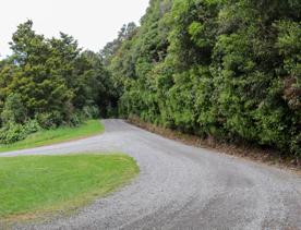 The Kiriwhakapapa Road Tararua Forest Park screen location, featuring walking trails and campsite opportunities in wild, natural landscapes.