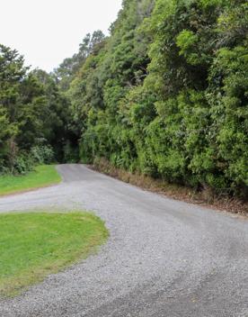 The Kiriwhakapapa Road Tararua Forest Park screen location, featuring walking trails and campsite opportunities in wild, natural landscapes.