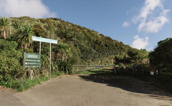 A section of the Sawmill trail in Waimapihi Reserve overlooking the Wellington Harbour.