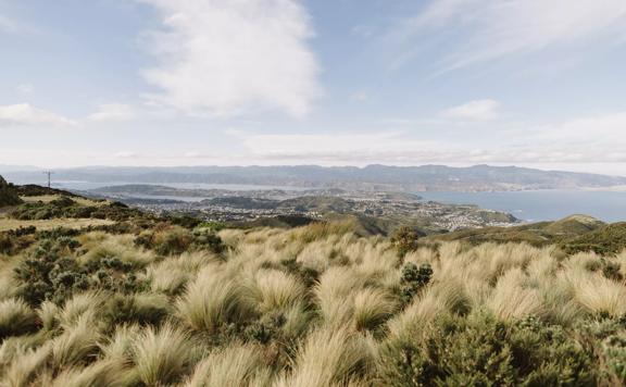 A vast landscape with tall dry grass in the foreground, rolling hills, houses along the coastline and a mountain range across the water. 