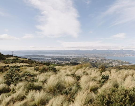 A vast landscape with tall dry grass in the foreground, rolling hills, houses along the coastline and a mountain range across the water.