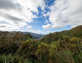 The screen location of Remutaka Summit, wit views of surrounding peaks, lush green bush and steep roads cut into the sides of the mountains.