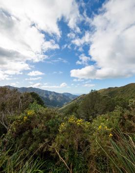 The screen location of Remutaka Summit, wit views of surrounding peaks, lush green bush and steep roads cut into the sides of the mountains.