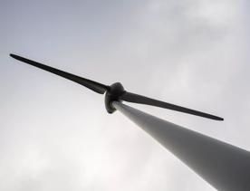 The Brooklyn Wind Turbine sits on a hill above Wellington, with views of the city. Bush and trees surround the area.