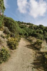 An uphill gravel walking path at Te Kopahou Reserve.