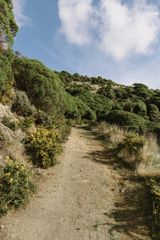 An uphill gravel walking path at Te Kopahou Reserve.