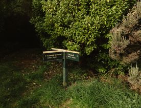 A section of the Coastal Lookout Walk in Whareroa Farm on the Kāpiti Coast. The grassy hills give a view out to Kapiti Island.