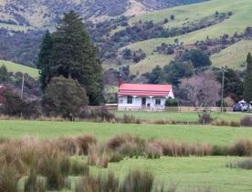 The Kiriwhakapapa Road Tararua Forest Park screen location, featuring walking trails and campsite opportunities in wild, natural landscapes.