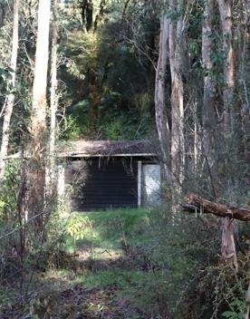 Mangaroa Valley Road screen location, a scenic rural setting with native forest, farmland, and a mountainous backdrop.