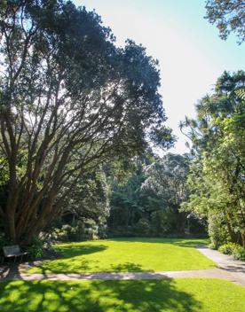 The Percy Scenic Reserve, features walking tracks, lawns, native bushes, gardens, and a large waterfall.