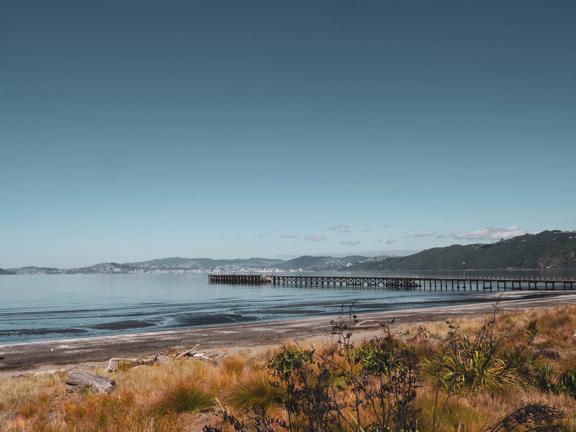 Looking out over the Petone wharf towards Wellington.