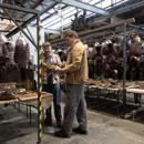 Sir Richard Taylor, founder of Wētā Workshop talks with another person. They are in a warehouse surrounded by metal helmets hanging from metal racks.