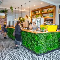 The interior of The Botanist in Lyall Bay. The counter has a fake bush attached, and the floor is a black and white pattern.