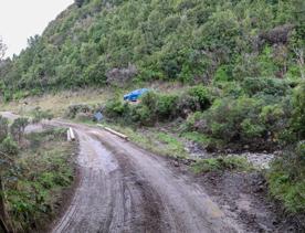 The Kiriwhakapapa Road Tararua Forest Park screen location, featuring walking trails and campsite opportunities in wild, natural landscapes.