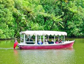 A red and white boat sails on the Lower Lake at Zealandia, full of tourists taking pictures surrounded by green bush and overhanging fern trees.