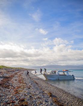 A family walking the plank of the boat onto Kapiti islands rocky beach.