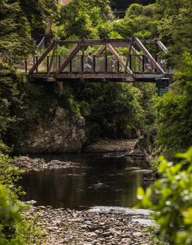 Bridge over the river on the Hutt River Trail