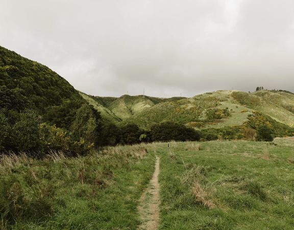 A narrow path along a grassy hillside under a cloudy sky.