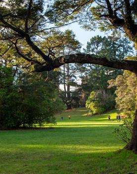 A well-equipped and popular outdoor space for families in Upper Hutt. On the edge of Te Awa Kairangi, Hutt River, Harcourt Park in Upper Hutt is a 40-minute drive north of Wellington.