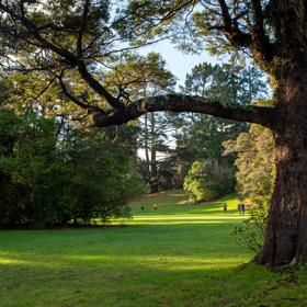 A well-equipped and popular outdoor space for families in Upper Hutt. On the edge of Te Awa Kairangi, Hutt River, Harcourt Park in Upper Hutt is a 40-minute drive north of Wellington.