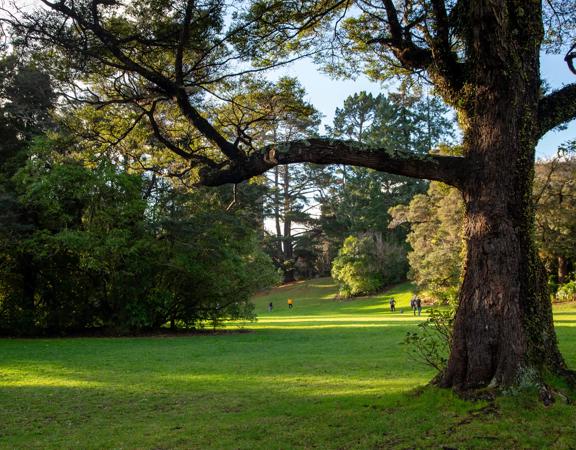 A well-equipped and popular outdoor space for families in Upper Hutt. On the edge of Te Awa Kairangi, Hutt River, Harcourt Park in Upper Hutt is a 40-minute drive north of Wellington.