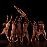 A group of dancers throw another dancer in the air. They are all dressed in brown, with a black background.
