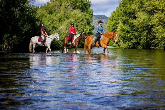 Three people cross a shallow river on horesback.