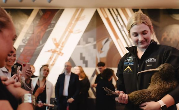 People meeting a Kiwi bird before it is released into the Wellington hills.