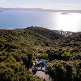 Kāeaea Track Summit view looks out across Wellington Harbour, with Matiu/Somes Island on the right and Mākaro/Ward Island on the left. Behind Mākaro, the Miramar peninsula.