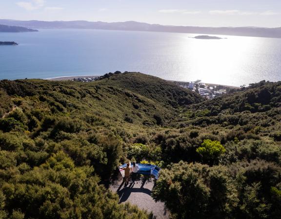 Kāeaea Track Summit view looks out across Wellington Harbour, with Matiu/Somes Island on the right and Mākaro/Ward Island on the left. Behind Mākaro, the Miramar peninsula.