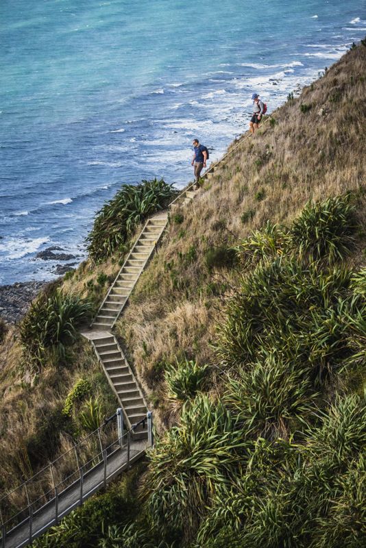 Paekākāriki Escarpment Track on the Kāpiti Coast