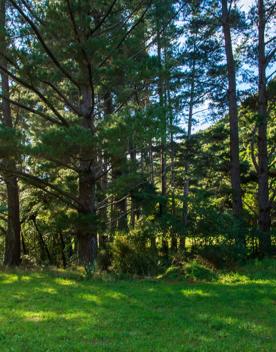 Camp Wainuiomata screen location. Has several buildings and is surrounded by forest and bush.