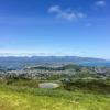 Looking east over Wellington city. The  sweeping view shows green hills dotted with houses. The sky is blue with a few clouds.