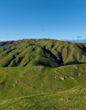 A short drive from the city is a stunning venue. Perched on a rugged coastline, it has sweeping views over the Cook Strait and the South Island.