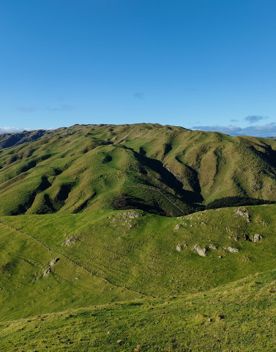 A short drive from the city is a stunning venue. Perched on a rugged coastline, it has sweeping views over the Cook Strait and the South Island.