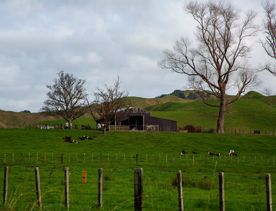 The screen location of Waitohu Valley Ōtaki, features native and exotic forests, pastoral lands, and wetlands.