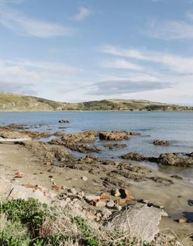 A rocky beach alongside the Ara Harakeke Pathway.