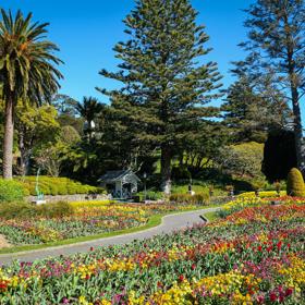 Looking over a bed of colourful flowers in Wellington's Botanic Garden, with a tarsealed path winding between them.