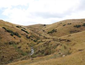 A secluded, sheltered beach located on private farmland. Pikarere Beach is a hidden inlet off Open Bay, just 5 kilometres from Porirua’s city centre.