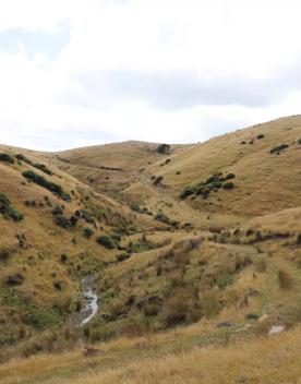 A secluded, sheltered beach located on private farmland. Pikarere Beach is a hidden inlet off Open Bay, just 5 kilometres from Porirua’s city centre.