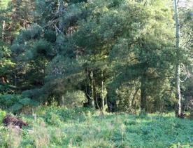 Mangaroa Valley Road screen location, a scenic rural setting with native forest, farmland, and a mountainous backdrop.