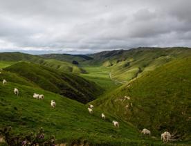 A short drive from the city is a stunning venue. Perched on a rugged coastline, it has sweeping views over the Cook Strait and the South Island.