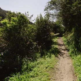 The Te Ara Tai Tonga trail at Ngā Ara o Rangituhi.
