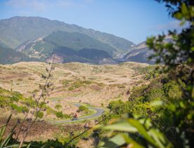 Two people biking along the sealed path amongst the dunes, Te Ara o Whareroa, in Queen Elizabeth Park, Kāpiti Coast.