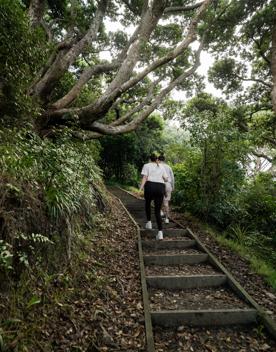 Two people hiking the Southern Walkway on Mount Victoria lookout, in Wellington, New Zealand.