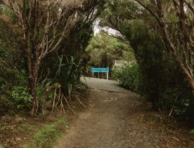 The MacKenzie Road Track in East Harbour Regional Park zigzags through regenerating bush with views of the harbour.