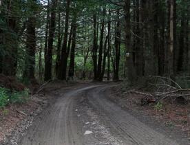 The Kiriwhakapapa Road Tararua Forest Park screen location, featuring walking trails and campsite opportunities in wild, natural landscapes.
