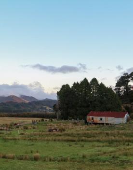 Corrugated iron sheds sit among the grassland of Wallaceville Farmland.